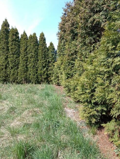 Sprzedam Dom do remontu z ogródkiem i dobudowanym garażem