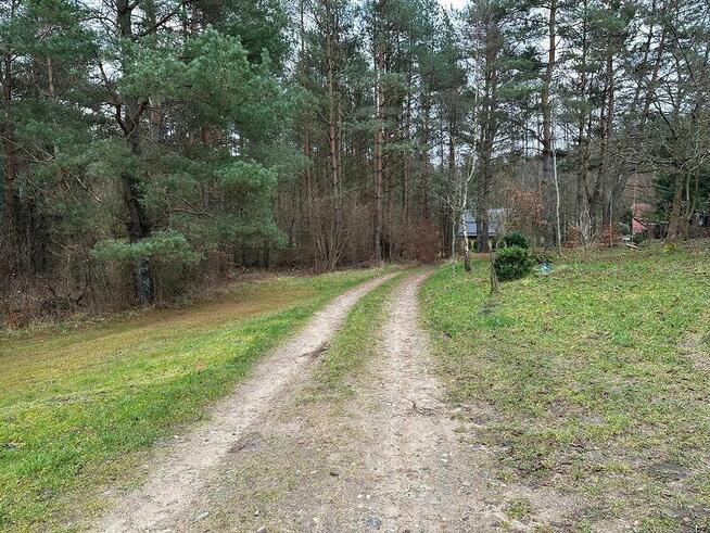 Syndyk sprzeda udział 6/324 w działkach zalesionych i drodze