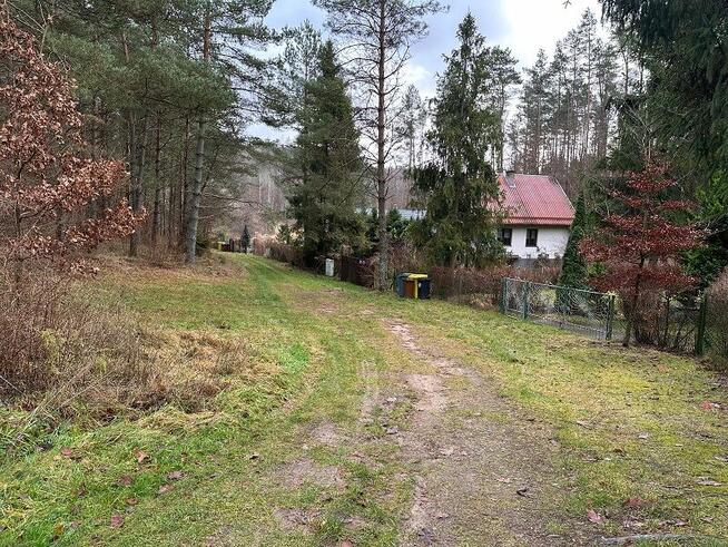 Syndyk sprzeda udział 6/324 w działkach zalesionych i drodze