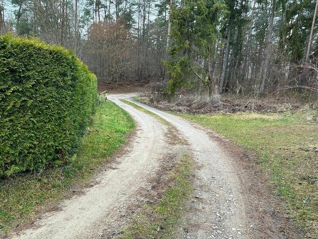 Syndyk sprzeda udział 6/324 w działkach zalesionych i drodze
