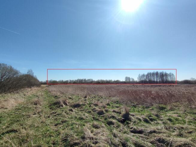 Działki rolne 5ha - Ostrów Lubelski\\\\Głębokie