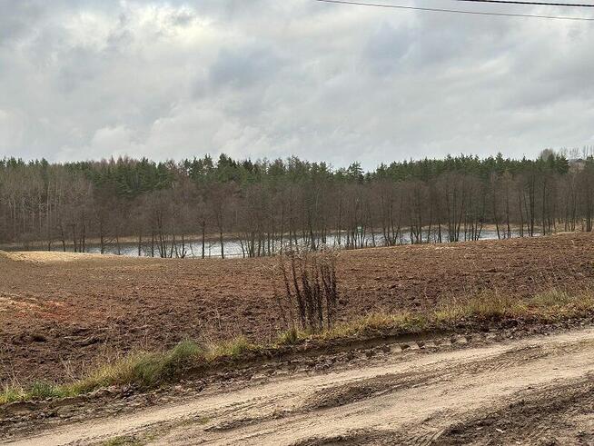 Syndyk sprzeda udział 6/324 w działkach zalesionych i drodze