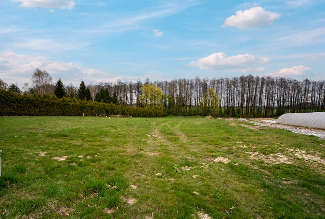 Działka 1037 m2 Jarząbkowice gm. Pawłowice - media, udział w