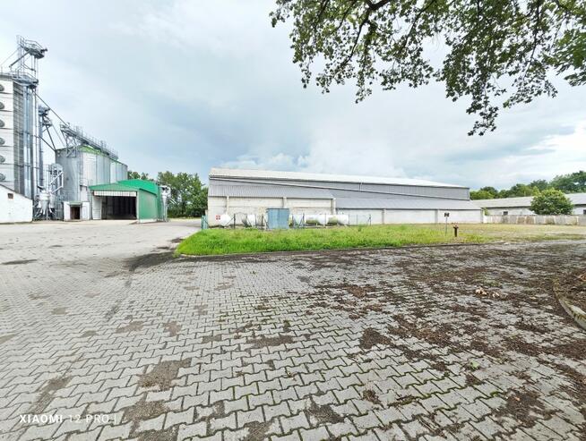 Obiekt Baszewice