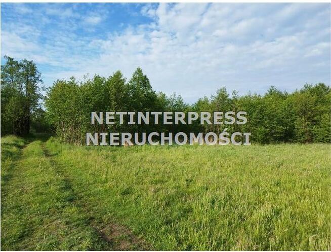 Działka rolna Radziejowice Stare Bdy