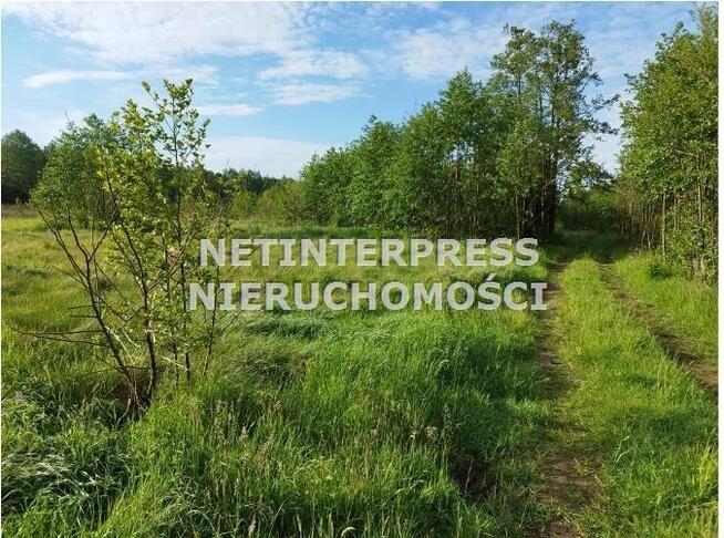 Działka rolna Radziejowice Stare Bdy