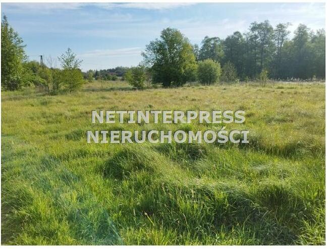 Działka rolna Radziejowice Stare Bdy