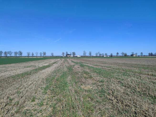 Działki rolne 5ha - Ostrów Lubelski\\\\Głębokie