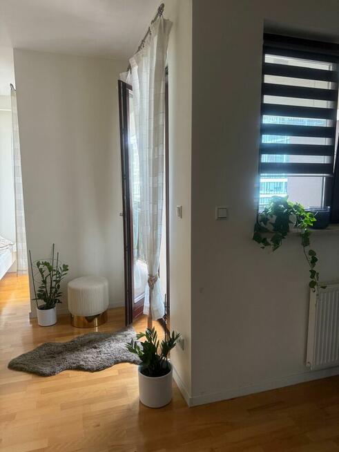 Wynajem | mieszkanie 37mkw | Śródmieście | ul. Pokorna