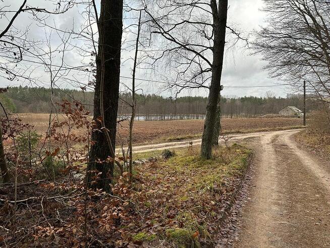 Syndyk sprzeda udział 6/324 w działkach zalesionych i drodze