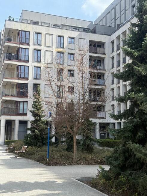 Wynajem | mieszkanie 37mkw | Śródmieście | ul. Pokorna