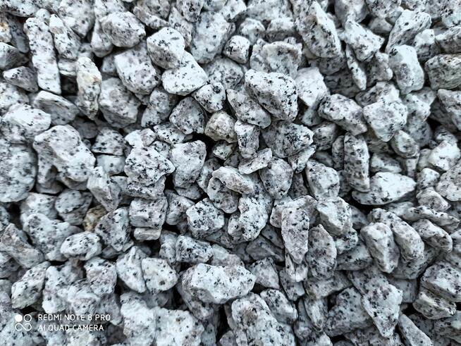 Grys Granitowy 8-16 Kamień do ogrodu Dalmatyńczyk Biały