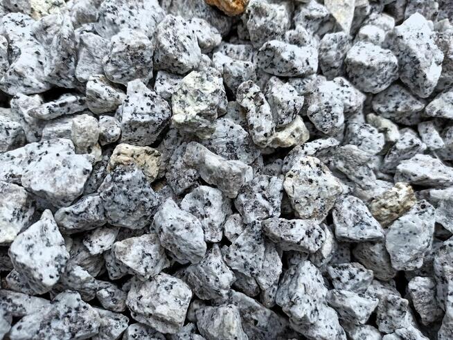 Grys Granitowy 16-22 Kamień do ogrodu Dalmatyńczyk Biały