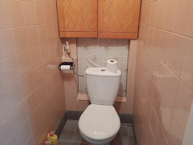 48m2, parter, Sierpc