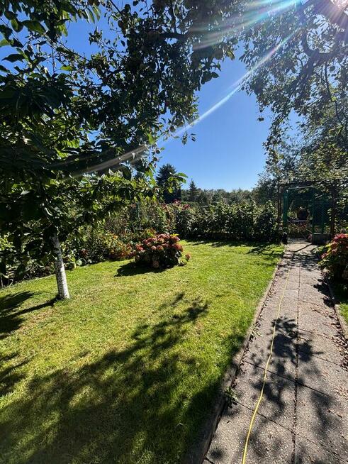 Działka ROD „Szarotka” | 302 m² | Altana, taras, wędzarni