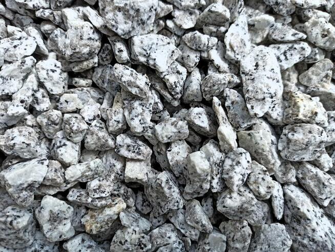 Grys Granitowy 16-22 Kamień do ogrodu Dalmatyńczyk Biały