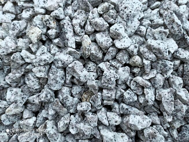 Grys Granitowy 16-22 Kamień do ogrodu Dalmatyńczyk Biały