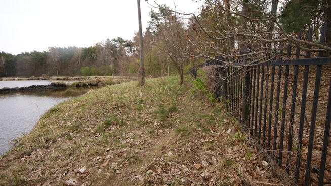 5,42 ha, Stawy rybne, las, Zemborzyce, Lublin