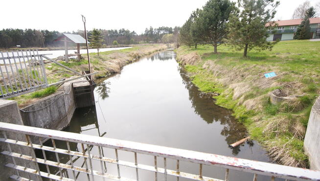 5,42 ha, Stawy rybne, las, Zemborzyce, Lublin