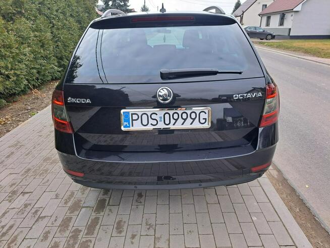 Škoda Octavia Gwarancja 6mc