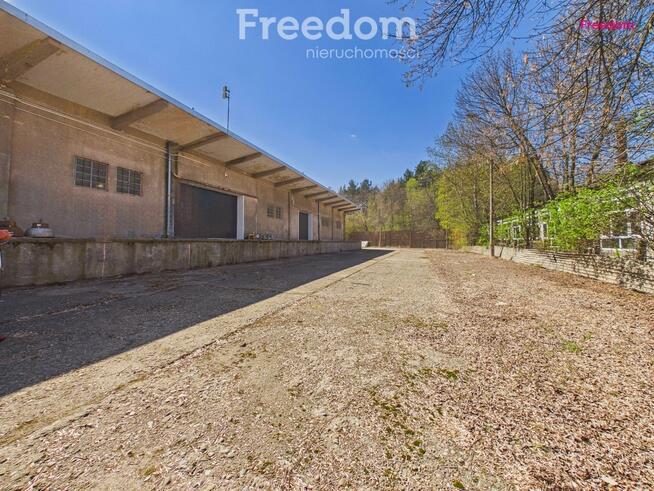 Na wynajem hala 1000m2 z pomieszczeniami biurowymi