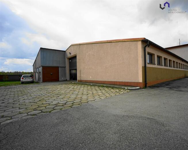 Lokal użytkowy Siemianowice Śląskie