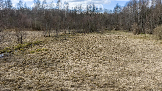 Sielska Warmia –działka w Patrykach 2,89 ha z WZ