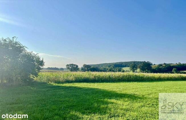 Działka budowlan 2640 m² – las, spokój, prywatność