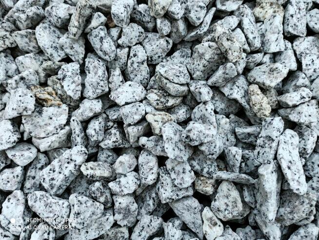 Grys Granitowy 8-16 Kamień do ogrodu Dalmatyńczyk Biały