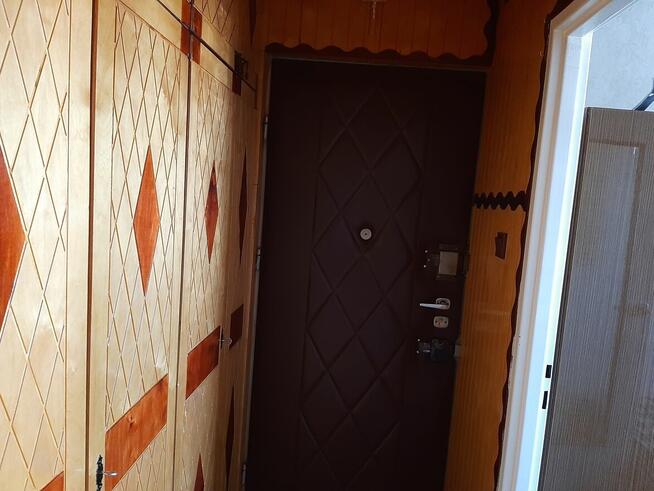 48m2, parter, Sierpc