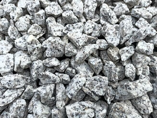 Grys Granitowy 16-22 Kamień do ogrodu Dalmatyńczyk Biały