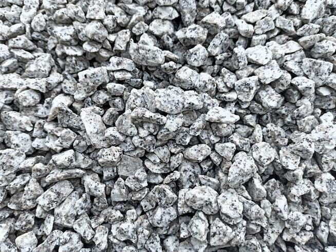 Grys Granitowy 16-22 Kamień do ogrodu Dalmatyńczyk Biały