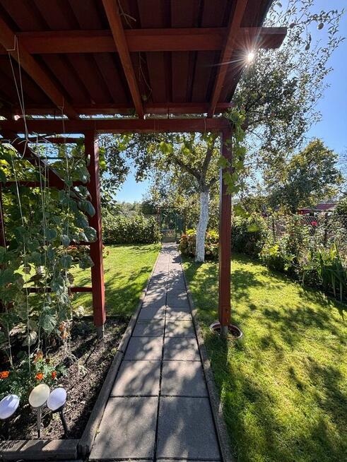 Działka ROD „Szarotka” | 302 m² | Altana, taras, wędzarni