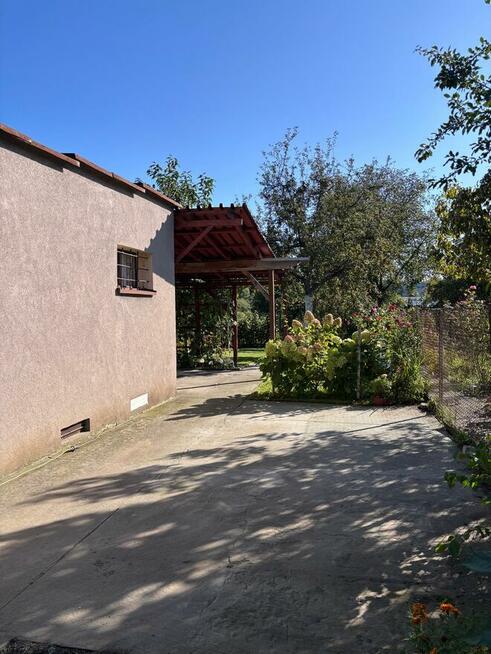 Działka ROD „Szarotka” | 302 m² | Altana, taras, wędzarni