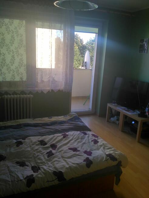 Słoneczne 2 pokoje w sercu Elbląga – ul. Tysiąclecia | 50 m²