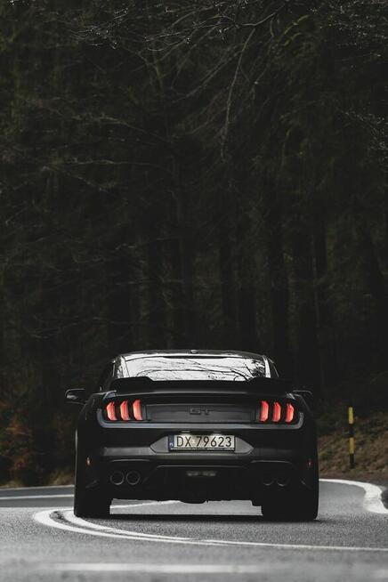 Wynajem Samochod Ford Mustang GT 5.0 - Wypożyczalnia DRIVE I
