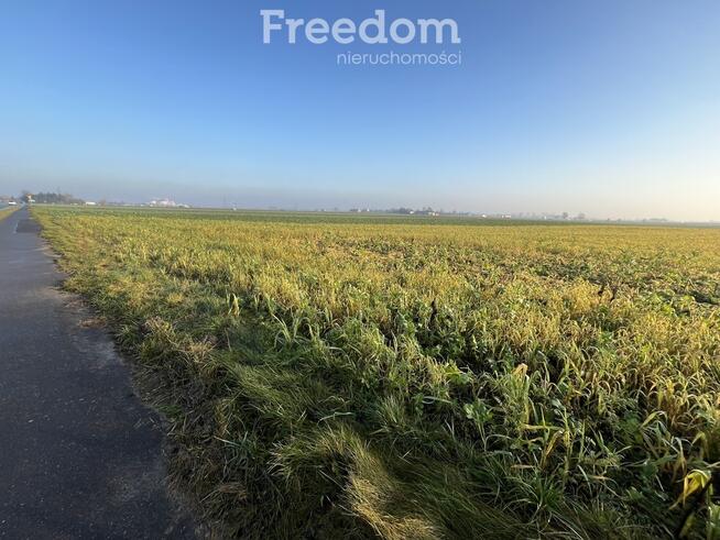 Działka budowlana w Browinie - 2 km od Chełmży