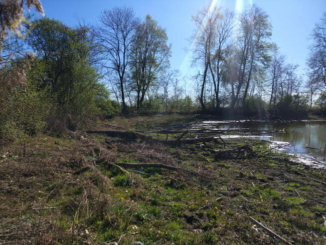 Działka rolna Sadowo gm. Iłów,
