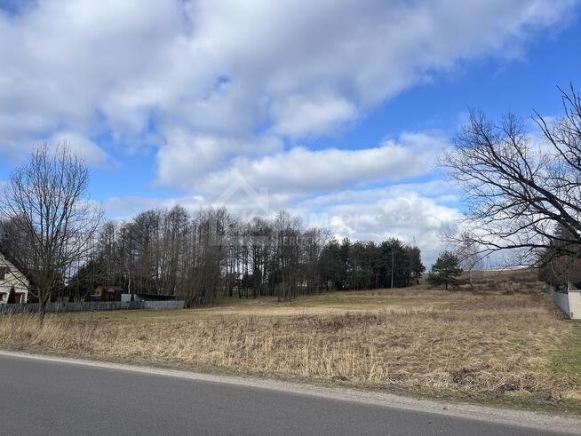 Wyjątkowa działka na sprzedaż – 1 ha w Rytwianach