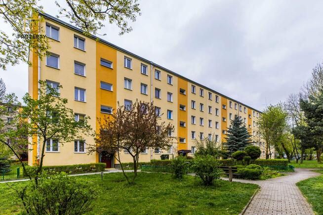 3 pokoje |blisko komunikacji miejskiej| loggia| piwnica