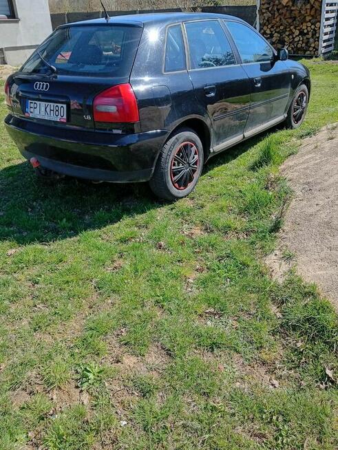 Audi A3 1.6 benzyna hak