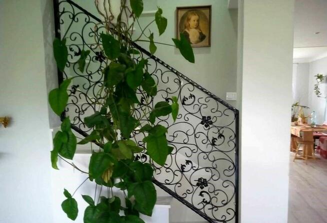 Bramy Ogrodzenia i Balkony