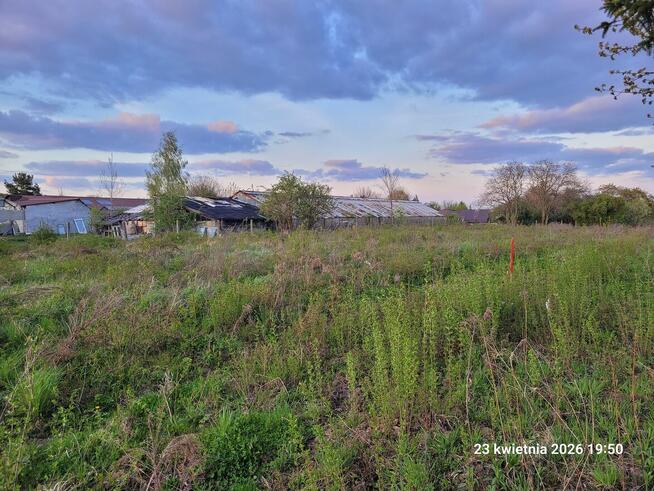 Lubin 10,8 ar (40x27m) sprzedam