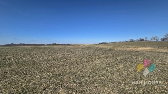 15 ha działki rolnej w gminie Mikołajki