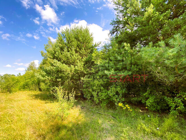 Działka inwestycyjna Zboiska gm. Radziejowice,