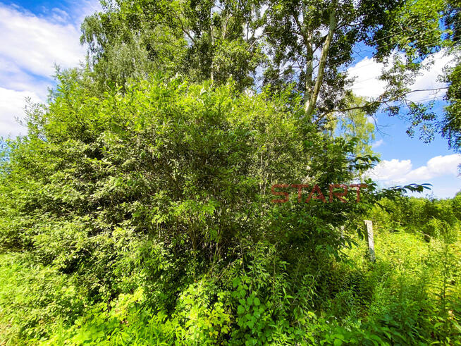 Działka inwestycyjna Zboiska gm. Radziejowice,