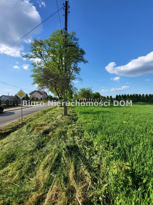 Działka Borowno gm. Mykanów Kolonia