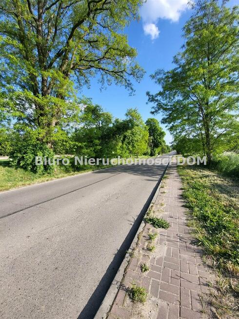 Działka Borowno gm. Mykanów Kolonia