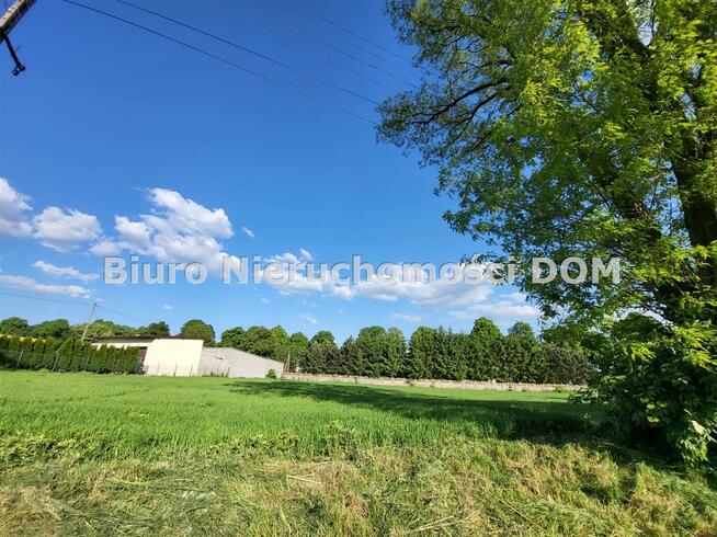 Działka Borowno gm. Mykanów Kolonia