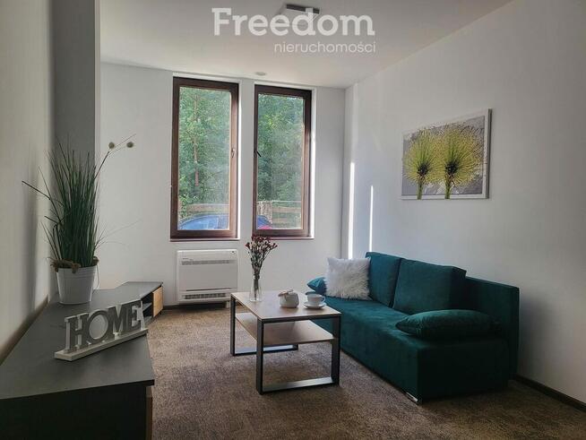 Ostatni apartament nad jeziorem w otoczeniu lasów.